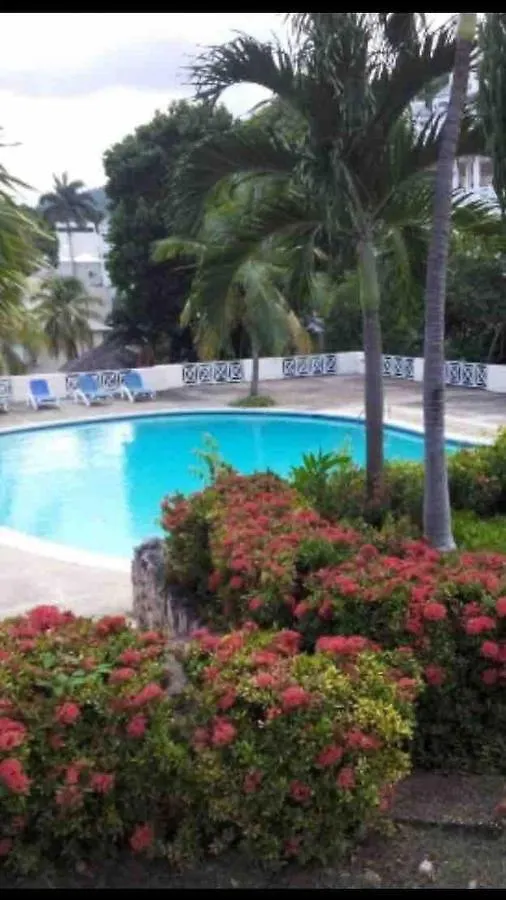 #D1 Castle Studio Wifi King Bed Ocho Rios Jamaica Villa